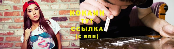 меф Арсеньев