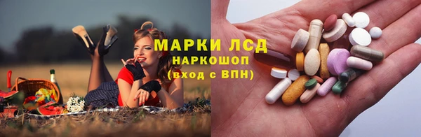 меф Арсеньев