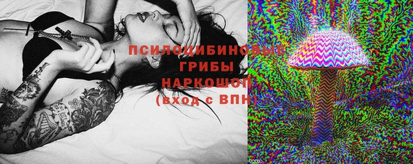 трава Аркадак