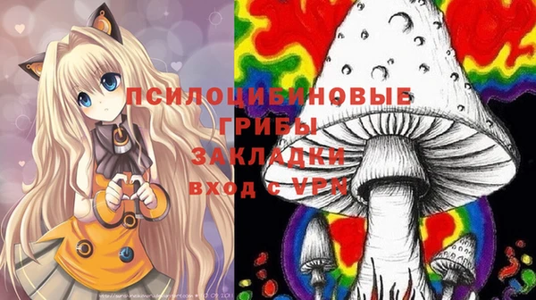 меф Арсеньев