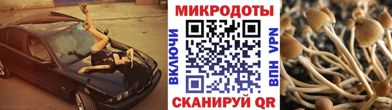 Псилоцибиновые грибы GOLDEN TEACHER  Каменск-Уральский 